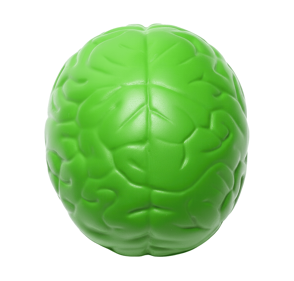 Serenity Squishy Brain Slo-Release Stress Reliever-default