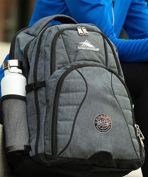 High Sierra® Swerve 17" Computer Backpack