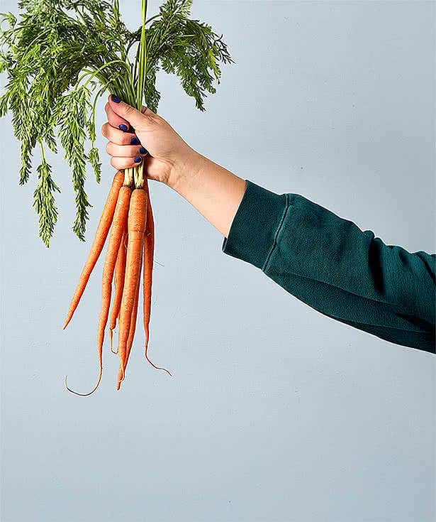 Modern Sprout Garden Seed Pop