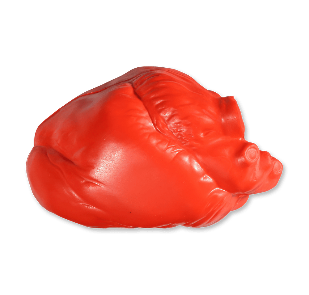 Anatomical Heart Stress Reliever-default