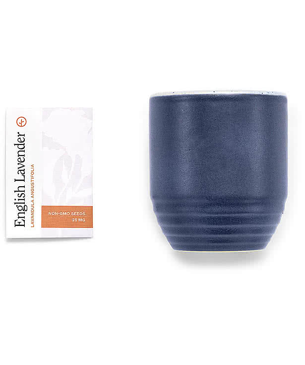 Modern Sprout Garden Vibes Candle and Planter Set