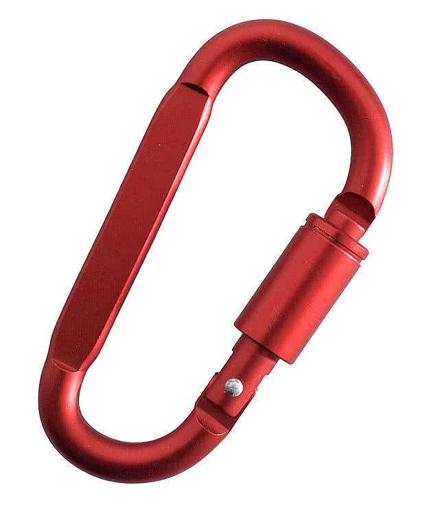Best Buddy Tools  D-Ring Carabiner with Lock