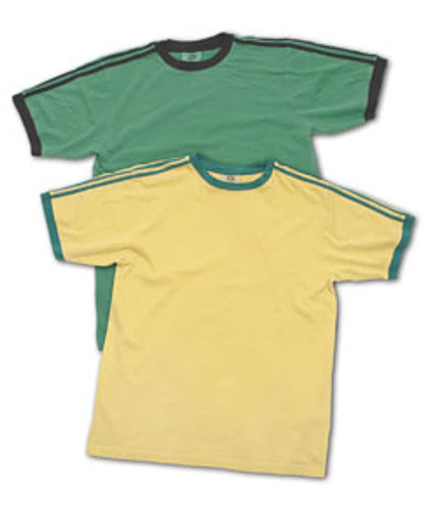 Authentic Pigment Dyed Double Stripe T
