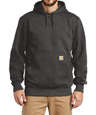 Carhartt Rain Defender Paxton Heavyweight Hooded Sweatshirt - Embroidered