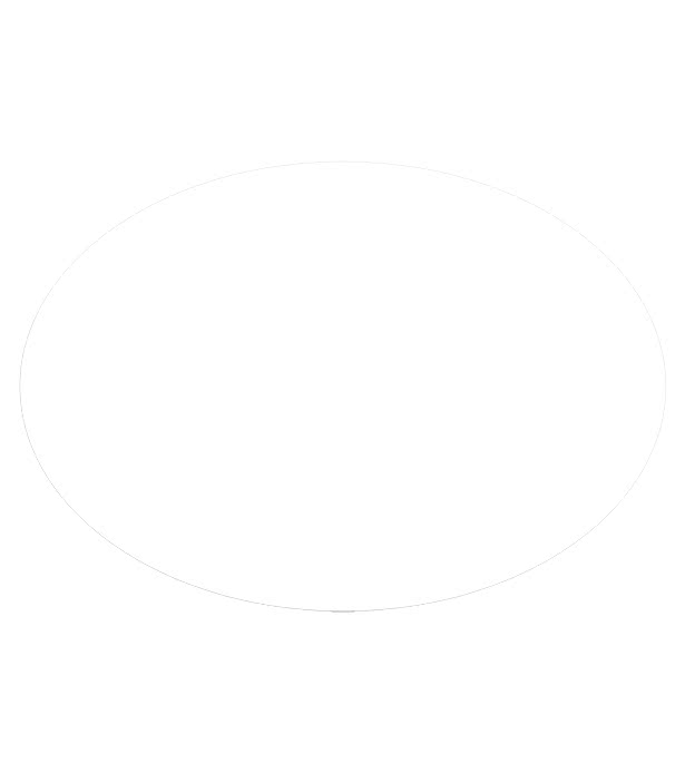 Small Oval Car Sign Magnet