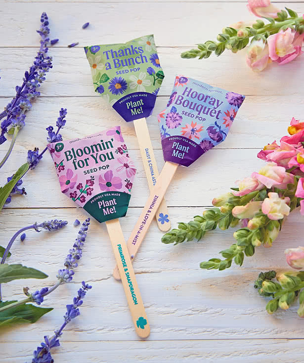 Modern Sprout Flower Seed Pop
