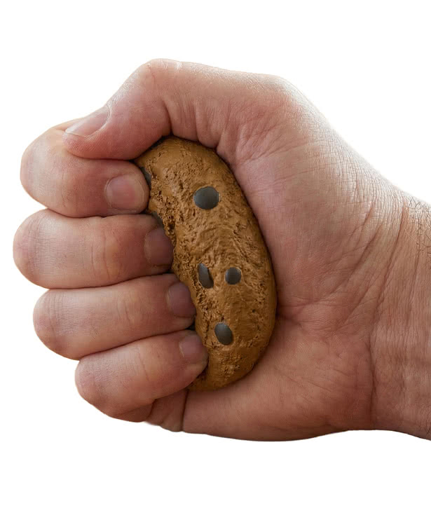 Chocolate Chip Cookie Stress Reliever