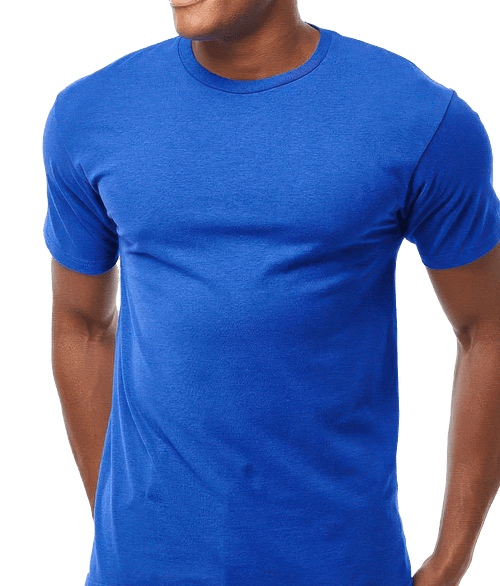 Tultex Jersey Crewneck T-shirt in Royal