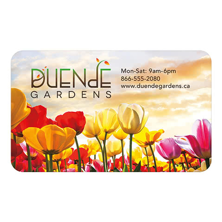 Full Color 20 Mil Jumbo Business Card Magnet in White