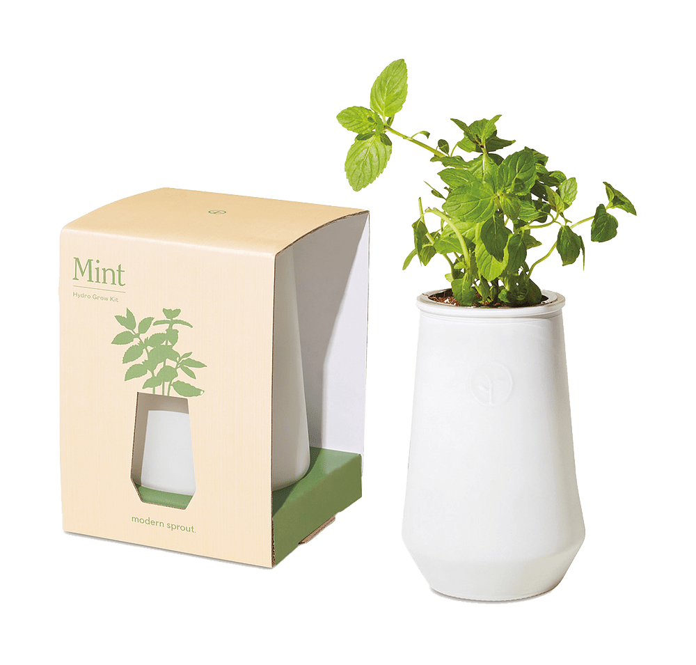Modern Sprout Tapered Tumbler Grow Kit-default