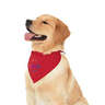 Doggie Skins USA-Made 100% Cotton Pet Bandana (Corner Design)