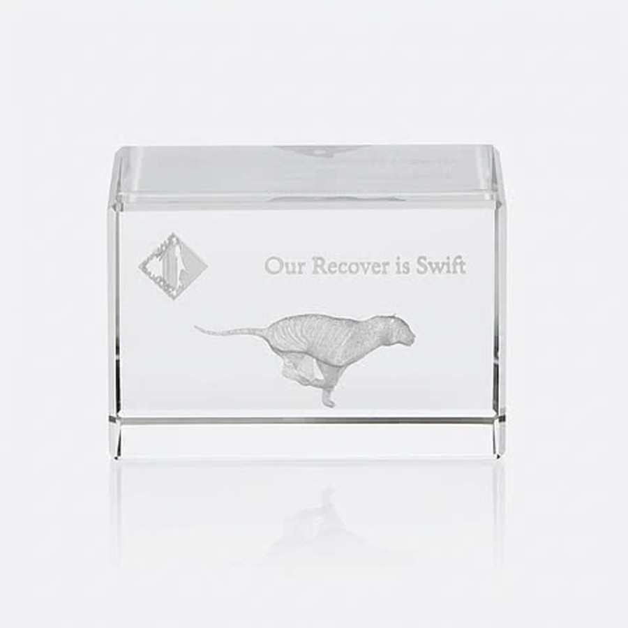 Small Block 3D Award in Clear