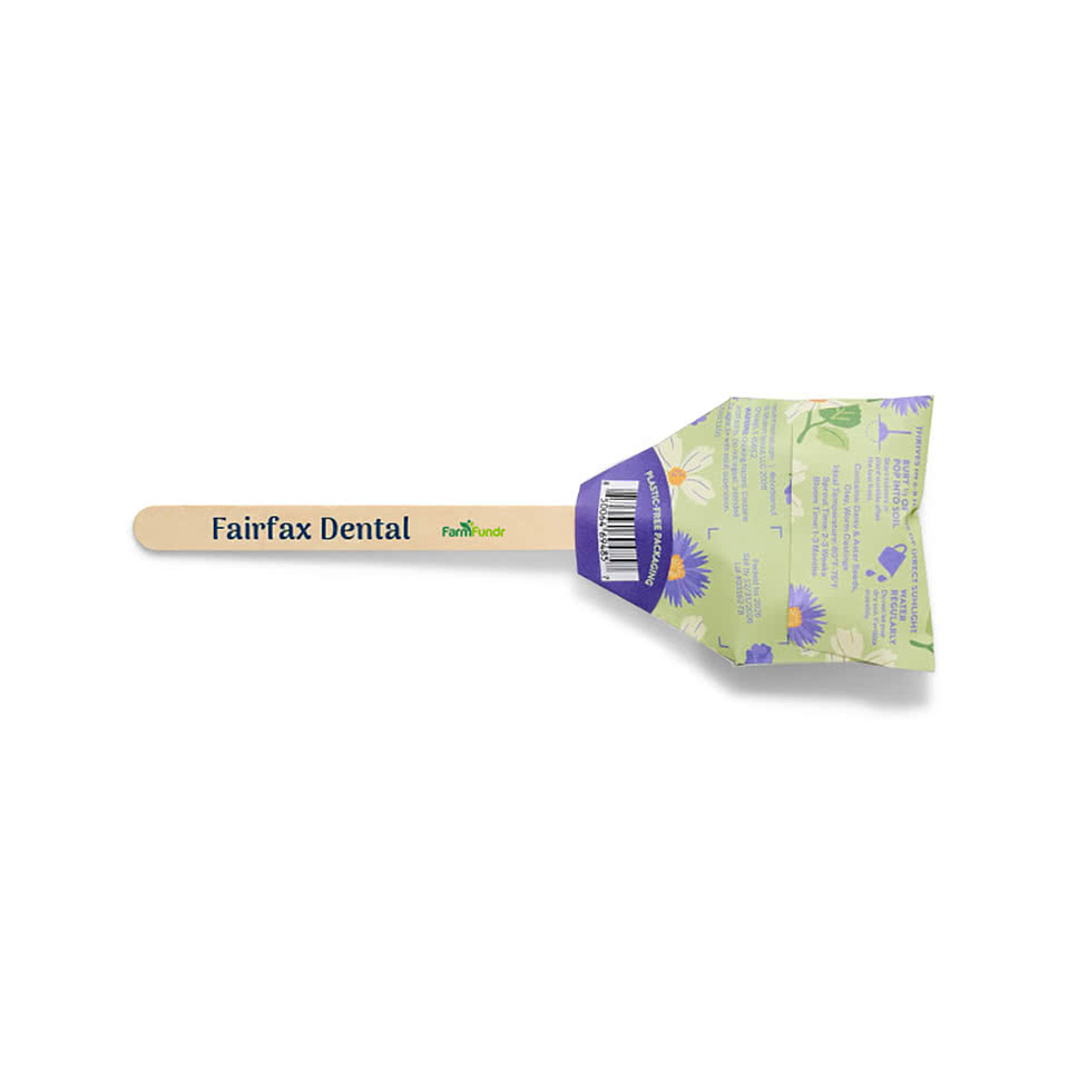 Modern Sprout Flower Seed Pop