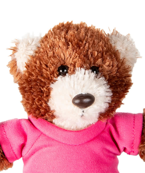 6" Brown Baxter Bear Plush Animal