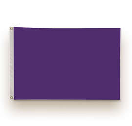 Full Color 2' x 3' Single Sided Nylon Flag - Color: Team Purple