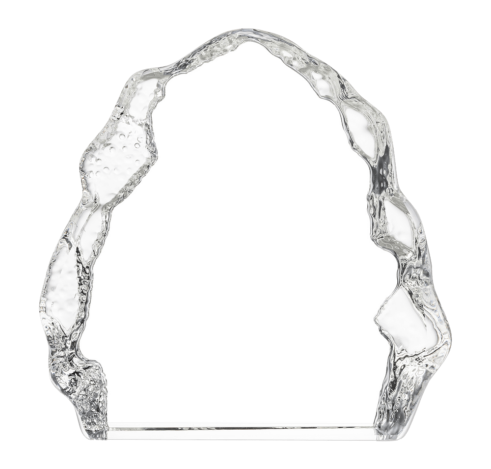 Houston Iceberg Award-default
