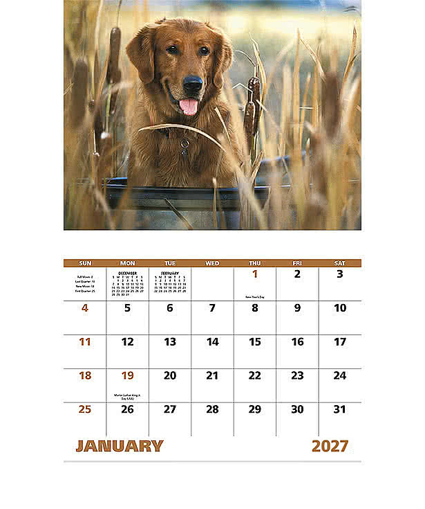Sporting Dogs Stapled Wall Calendar