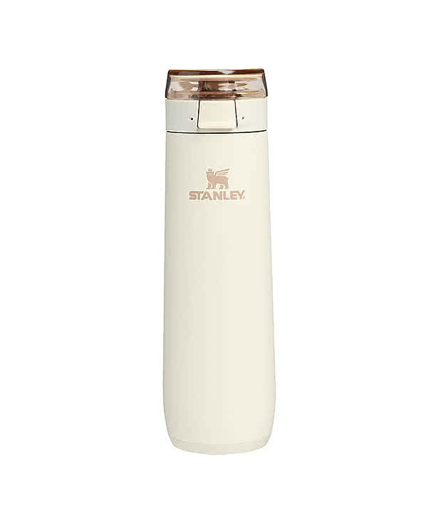 Stanley 20 oz. Flowstate Spring Water Bottle