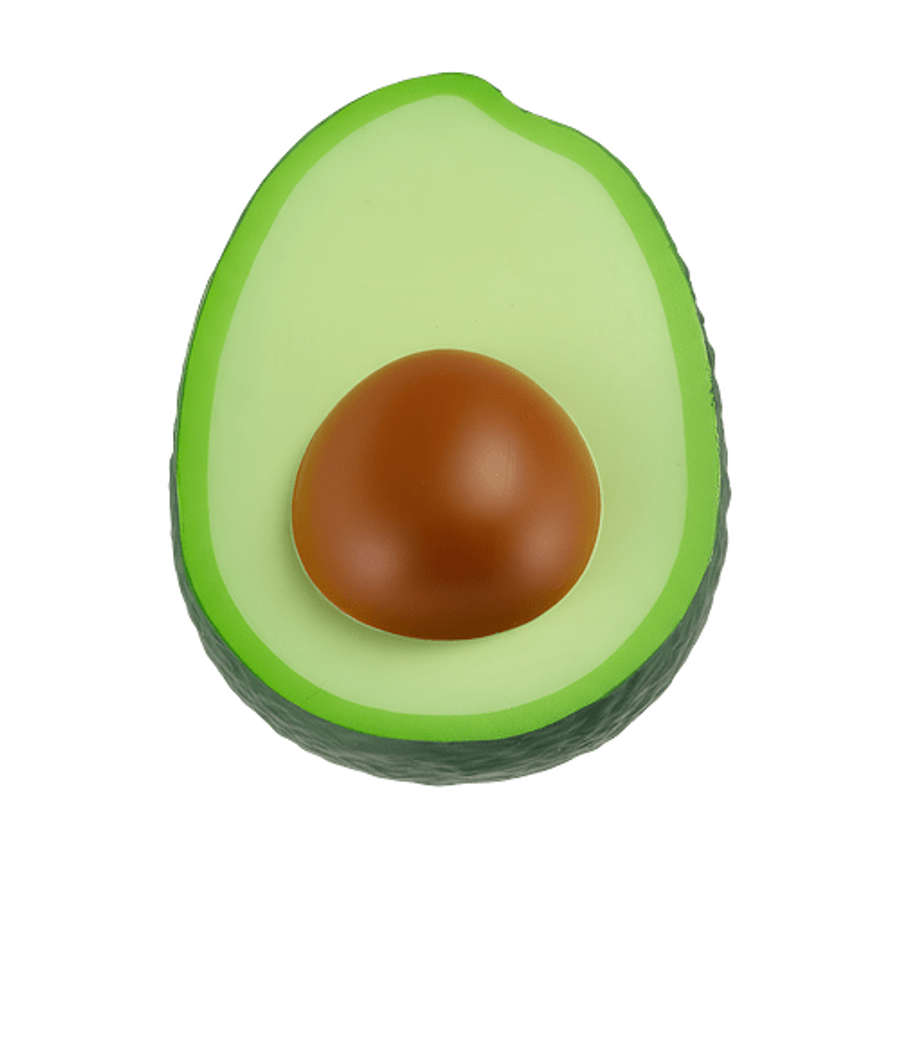 Avocado Stress Reliever in Green/Brown