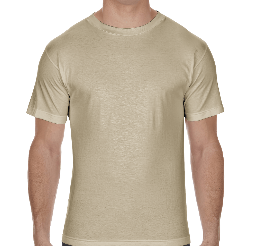 American Apparel Heavyweight Cotton T-shirt-default