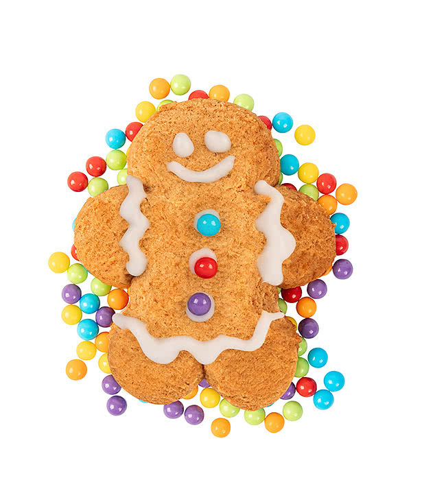 Ginger Buddy Cookie Decorating Kit Mug Stuffer