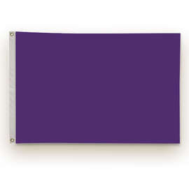 Full Color 2' x 3' Double Sided Nylon Flag - Color: Team Purple