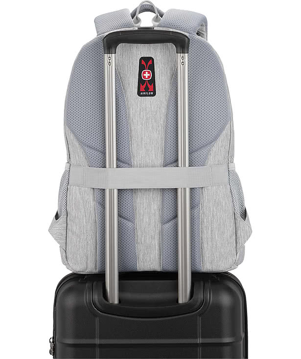 Swiss Gear Frost Peak 15" Computer Backpack