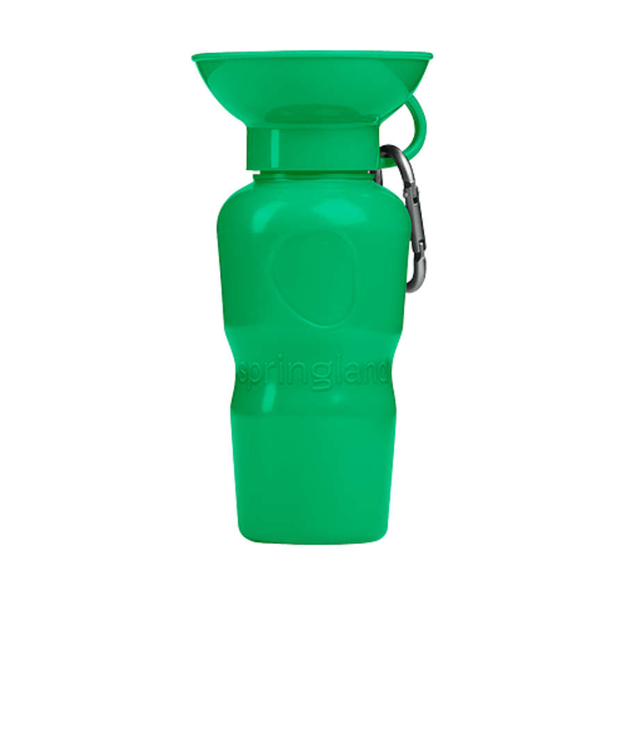 Springland Pet 22 oz. Classic Travel Water Bottle in Green