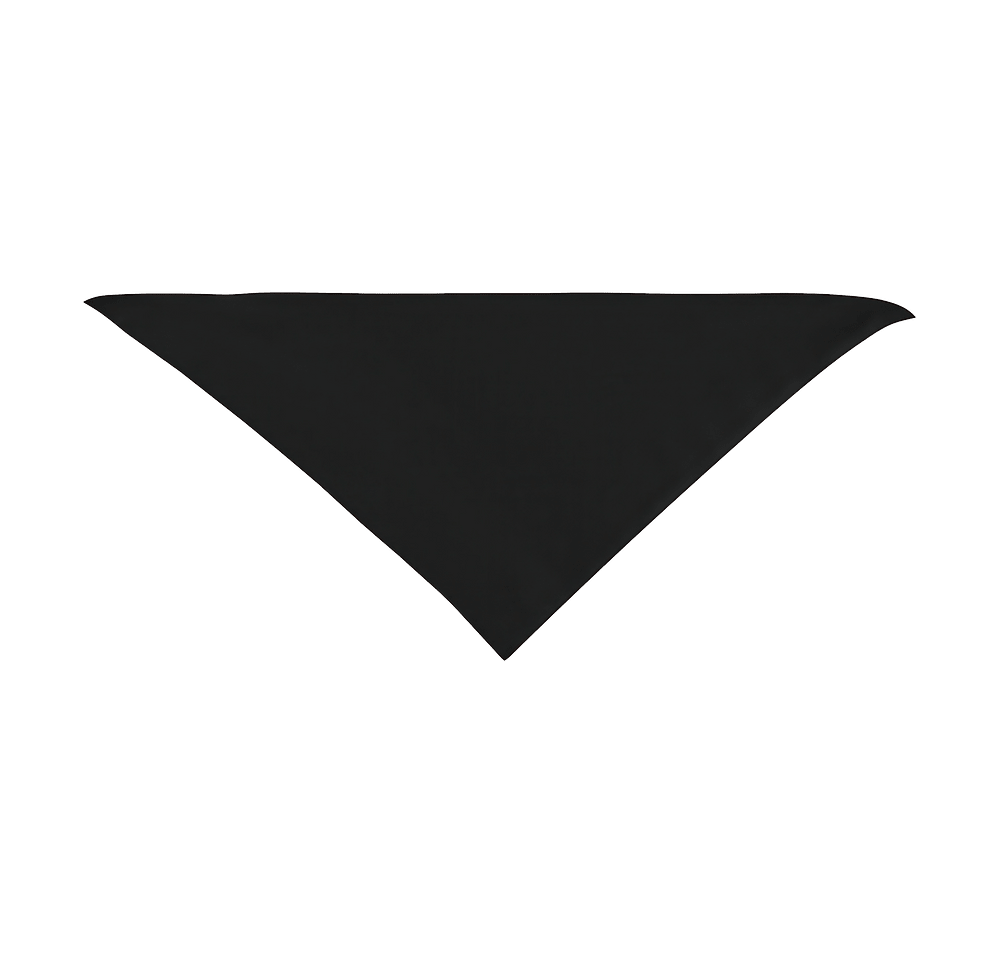 Large Triangle Recycled Pet Bandana-default
