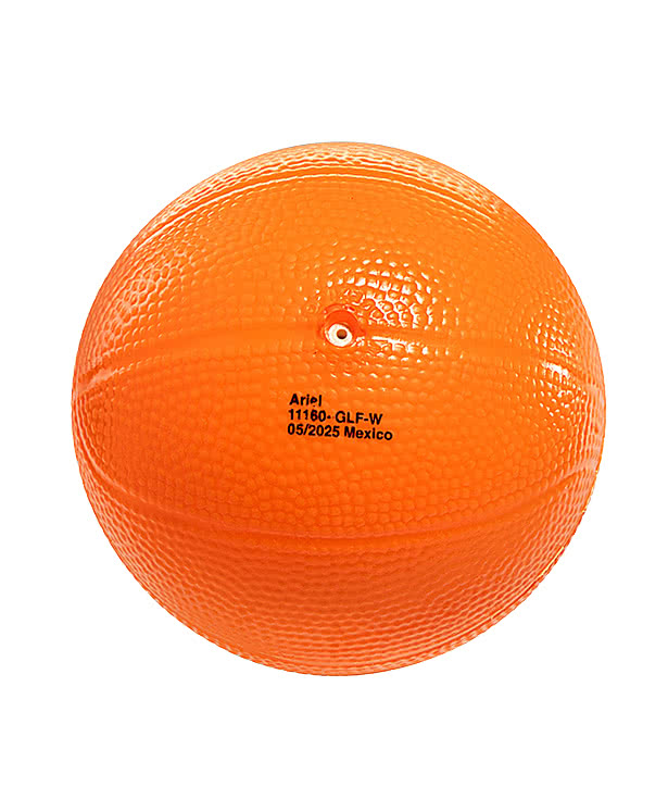 4" Mini Basketball