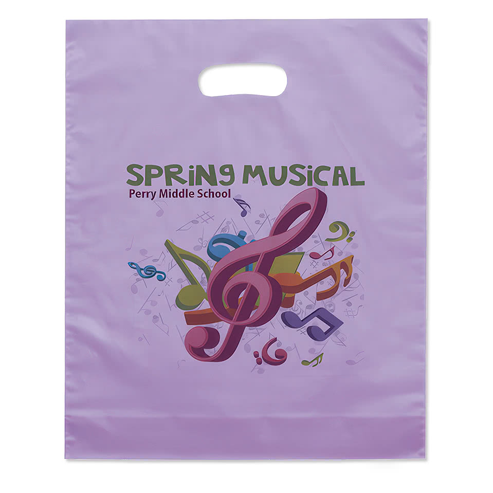 Medium Frosted Plastic Handle Bag