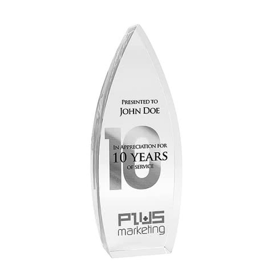 Laser Engraved Large Sky Bound Award
