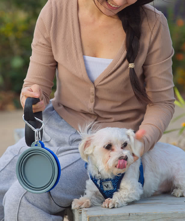 Feed 'N Go Collapsible Pet Bowl with Carabiner