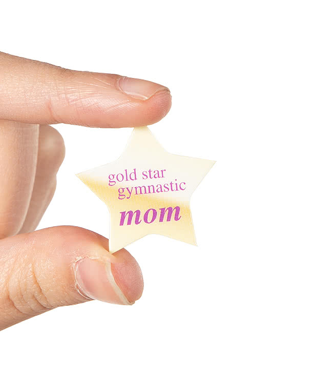Full Color Star Laminated Plastic Lapel Pin