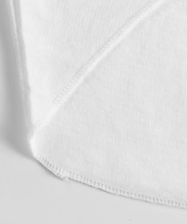 American Apparel Dog Raglan T-shirt