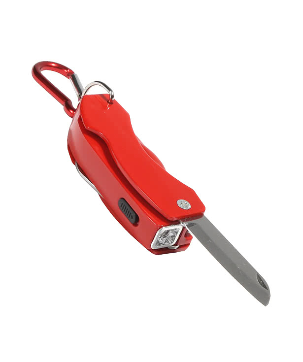 The Everything Tool with Carabiner