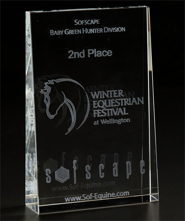 3D  Wedge Small Award