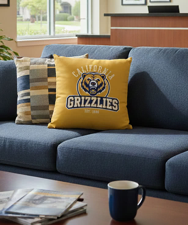 Full Color 18" x 18" Single-Sided Throw Pillow