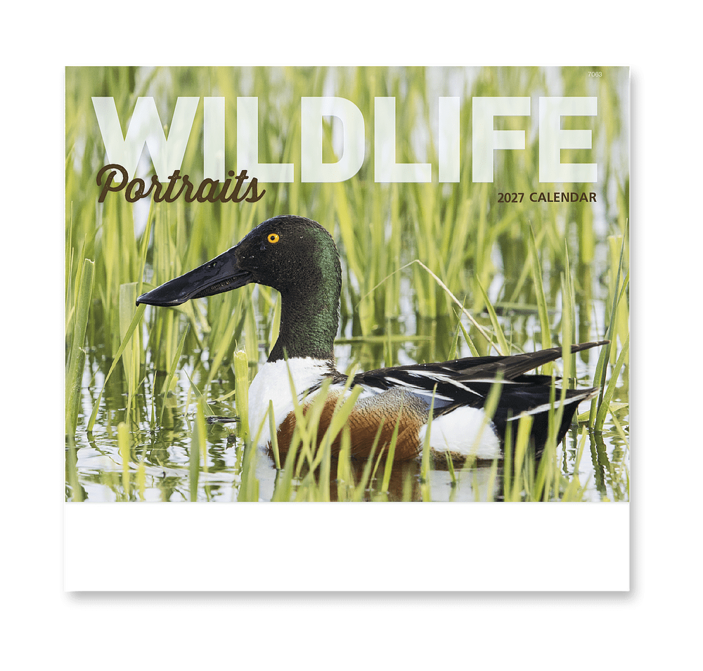Wildlife Portraits Stapled Monthly Calendar-default