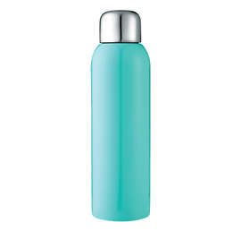 28 oz. Guzzle Stainless Steel Sports Bottle - Color: Mint Green