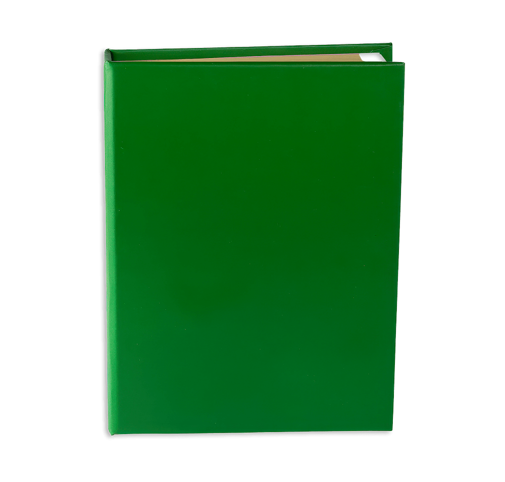 Sticky Book with Sticky Notes and Flags-default