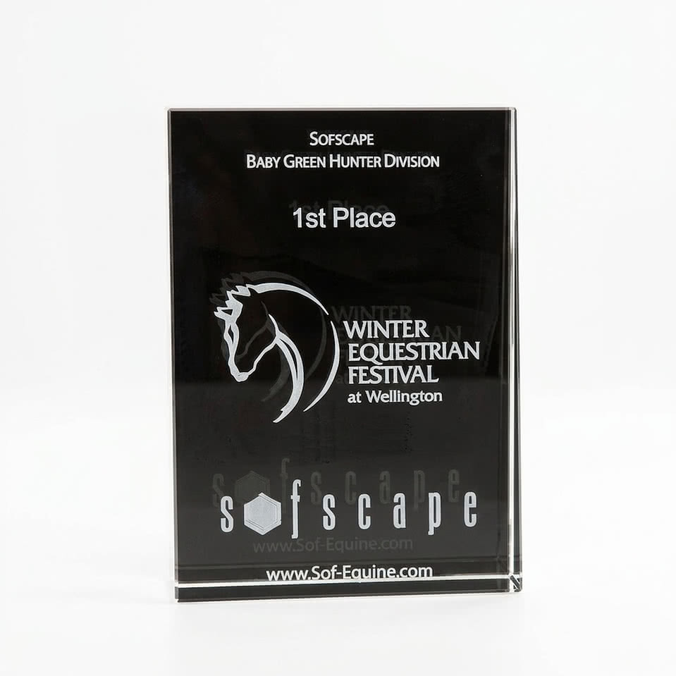 3D  Wedge Large Award