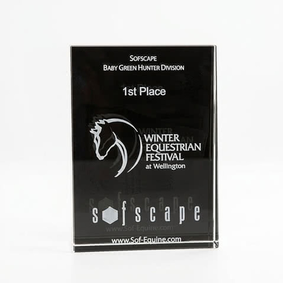 3D  Wedge Large Award in Clear
