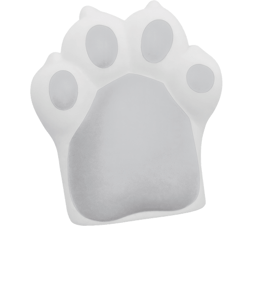 Pet Paw Stress Reliever in WHITE