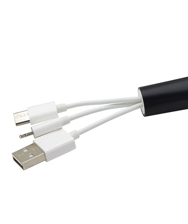 Trey 3-in-1 Charging Cable with Keychain