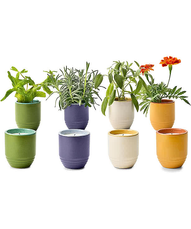 Modern Sprout Garden Vibes Candle and Planter Set