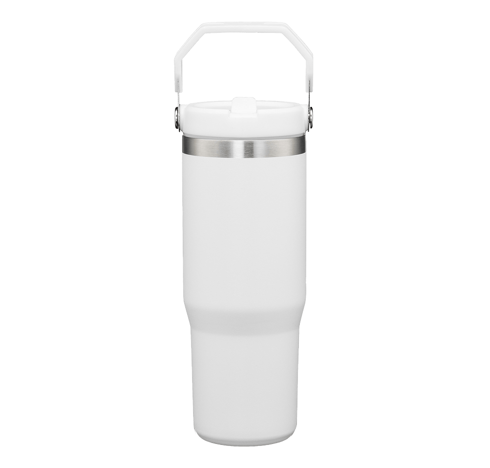 30 oz. Revive Stainless Steel Tumbler w/Handle & Straw-default