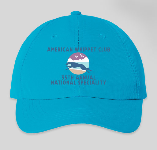 Colorful hat Fundraiser - unisex shirt design - front