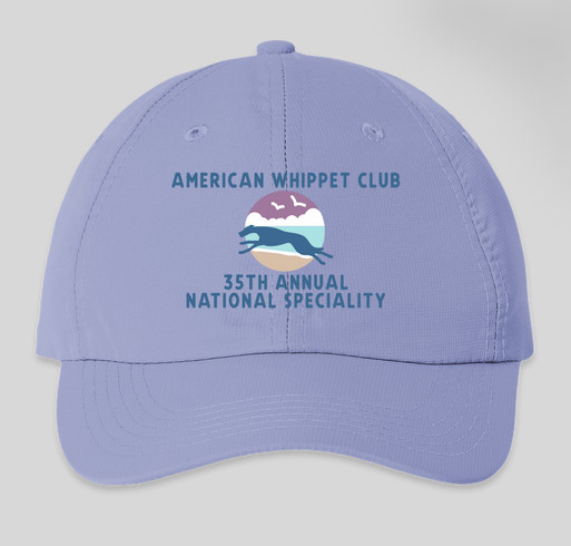 Colorful hat Fundraiser - unisex shirt design - front