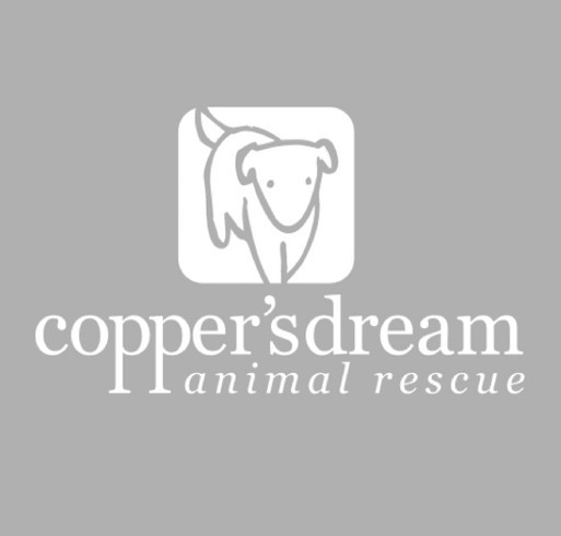 Copper's Dream Winter 2020 shirt design - zoomed